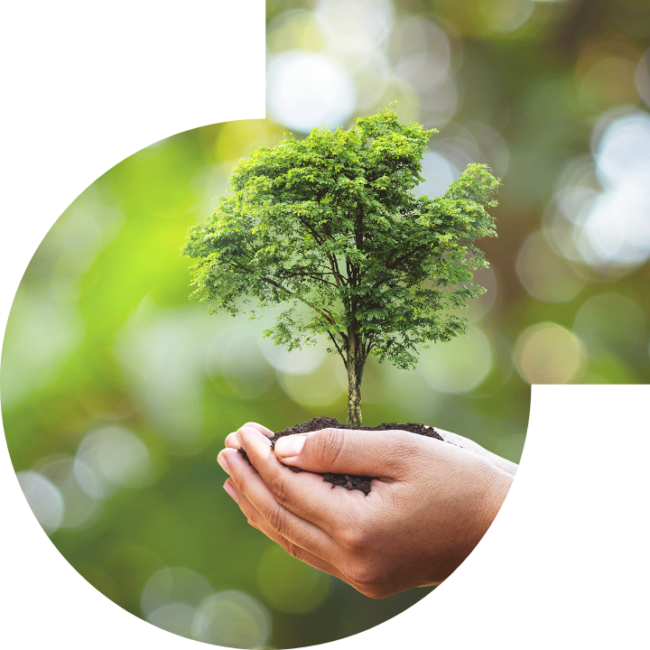 关怀人类、文化、环境与社会